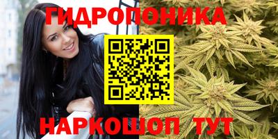 ECSTASY Новокубанск