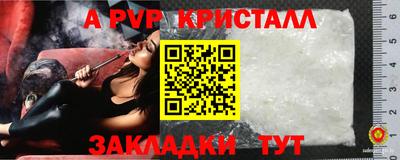 ешки Новозыбков